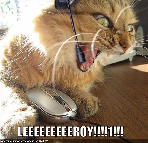 Funny Tumblr on Lolcats Funny Pictures Leroy Jenkins Jpg