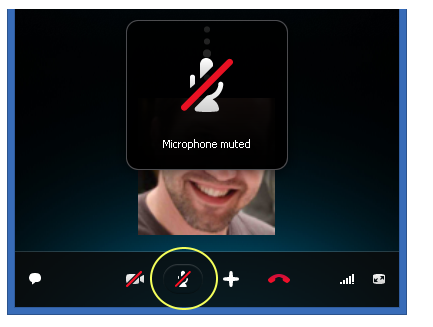 unmute skype phone call